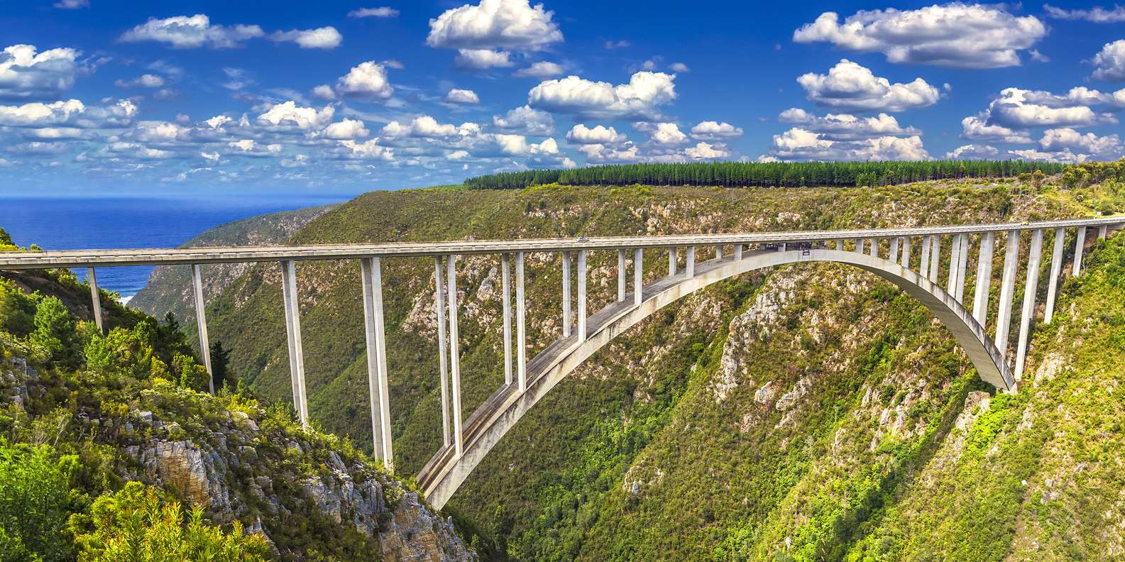 Bloukrans Bridge arch spanning the forested gorge on the Garden Route