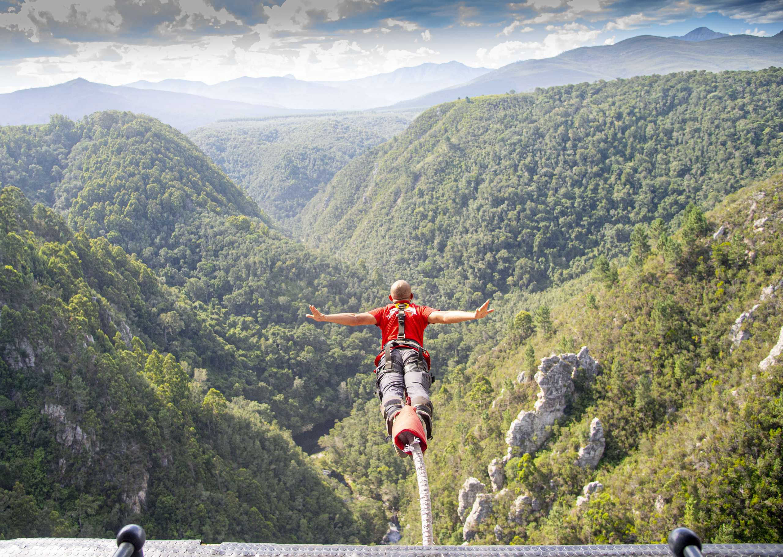 Bungy jumper in freefall with arms outstretched above the forested Bloukrans gorge